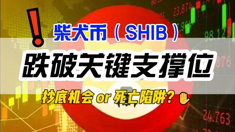 加密货币市场风云变幻：比特币跌破关键价位，柴犬币逼近支撑位